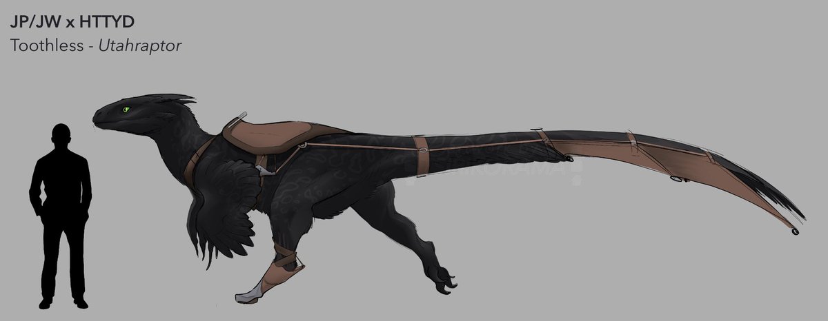 Utahraptor Toothless anyone?

I imagine that the trap ripped some tail feathers off and broke the leg, so Hiccup would’ve made a normal prosthetic for the leg and a dynamical one for the tail