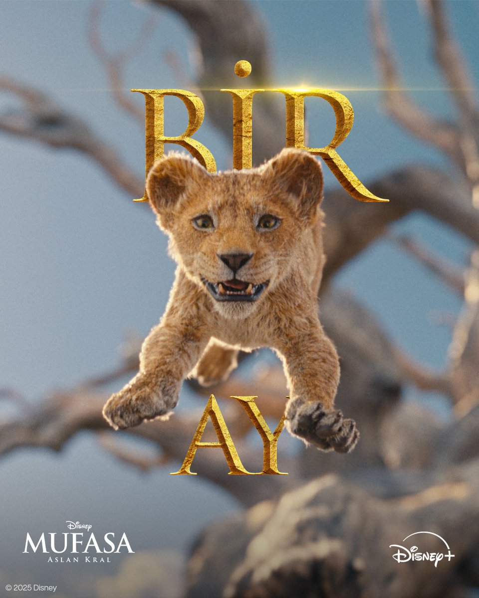 DisneyPlusTR's tweet image. Onun hikayesi, Simba’nın kaderini yazdı.

Disney'den #Mufasa: Aslan Kral 9 Temmuz’da Disney+’ta.