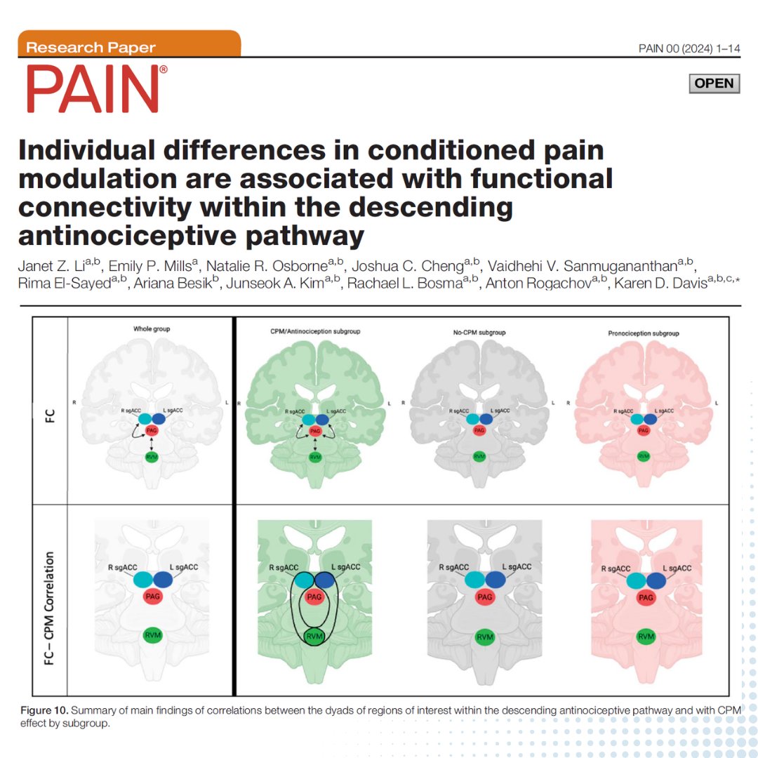 PAIN Journal (@painthejournal) on Twitter photo <a href="/kren27/">Karen Deborah Davis</a> et al. find that individuals exhibiting inhibitory conditioned pain modulation, but not those with no or faciliatory conditioned pain modulation, have resting-state functional connectivity of their descending antinociceptive pathway #PAIN bit.ly/4kppx2l <a href="/kren27/">Karen Deborah Davis</a> et al. find that individuals exhibiting inhibitory conditioned pain modulation, but not those with no or faciliatory conditioned pain modulation, have resting-state functional connectivity of their descending antinociceptive pathway #PAIN bit.ly/4kppx2l