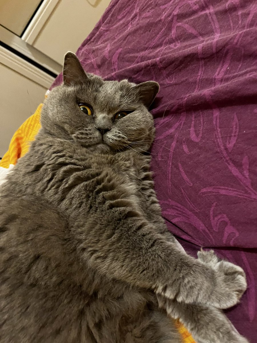 0ralfixati0nn's tweet photo. som dues persones i una gata que busquem una tercera persona per entrar al pis al juliol

📍Gràcia, a 4 min de joanic (L4)
+info x dm, s'agraeix difu, merciii💓

@vallitron3 @0ralfixati0nn https://t.co/9npcVsz78q