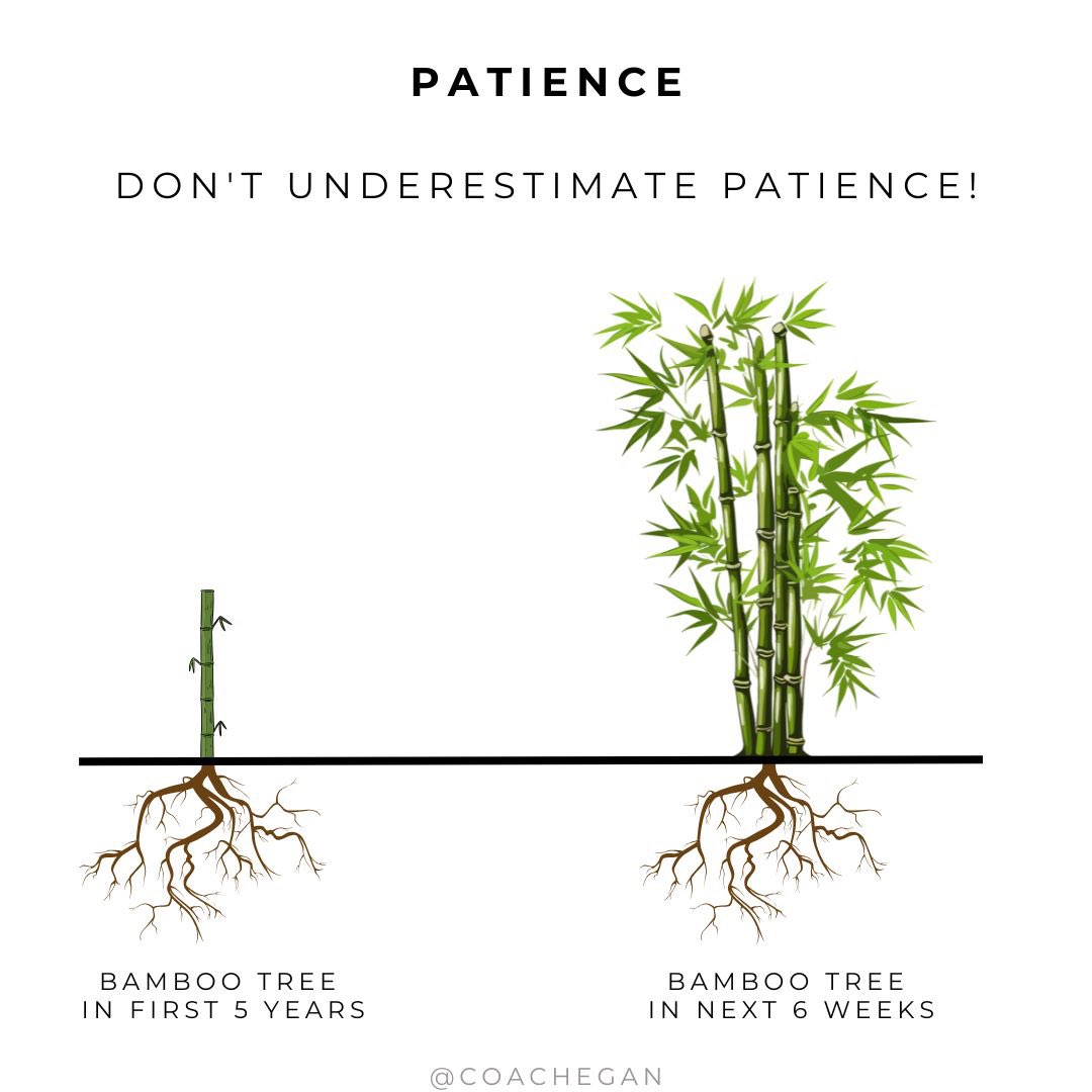 Trust The Process…….