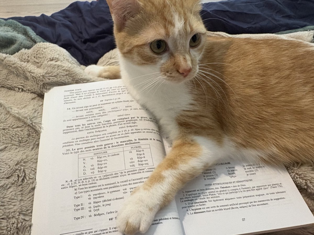 Assistant ronron prend un cours de grec