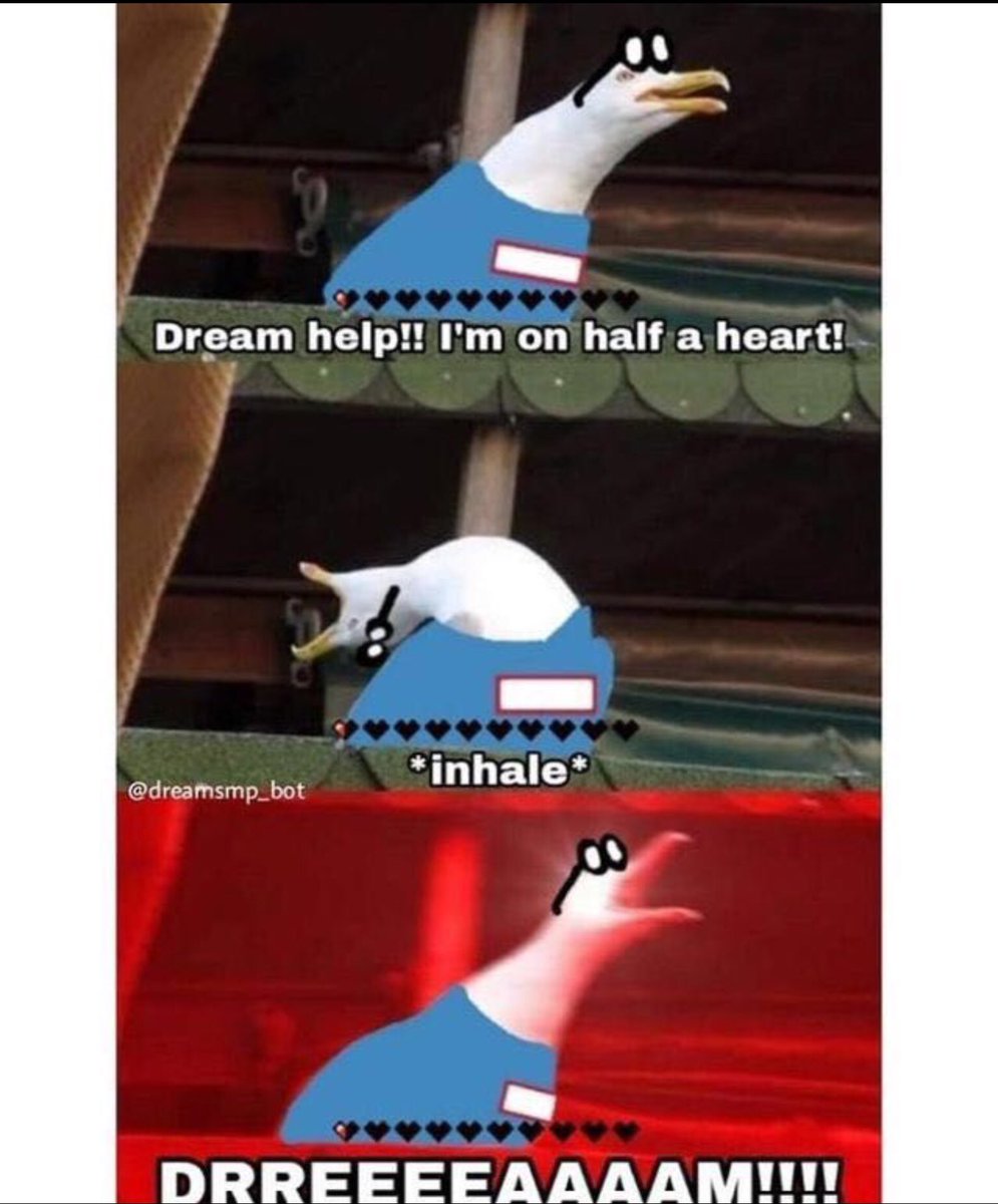 lavvywastaken's tweet image. 