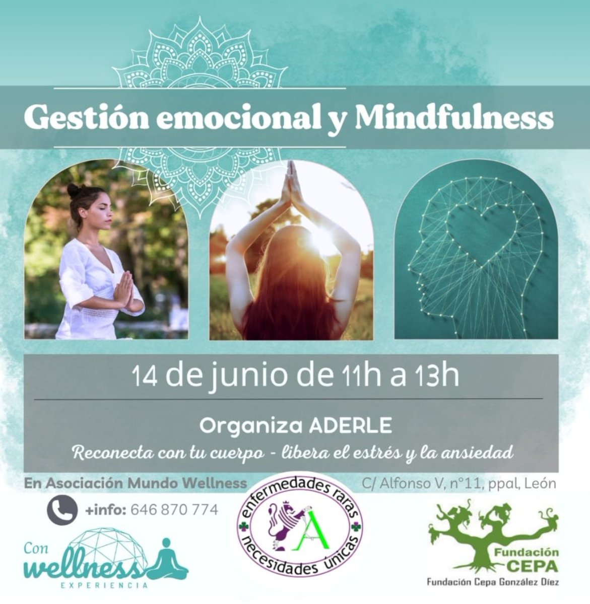 El próximo sábado 14  tenemos un nuevo taller de mindfulness y gestión emocional para nuestros socios y familias en #ExperienciaWellness . Trabajamos cuerpo, emociones y energías gracias a <a href="/FundacionCepa/">Fundación CEPA</a> . Infórmate en el tfno. 646870774.

#aderlemasvisible #leonesp 
<a href="/FEDER_ONG/">FEDER | Enfermedades Raras</a>
