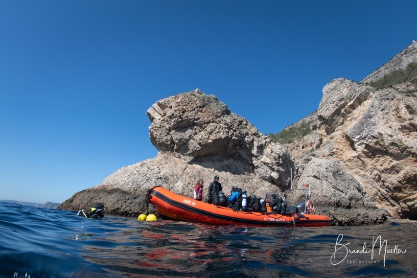 "Pedra do Leão" in Sesimbra; a rock formation that resembles a lion and the yellow cliffs behind it, contrasting with blue sky and blue water.
Remember: We worry, You dive!
portugaldive.com/best-dives/spo…
#portugaldive #divinginportugal
<a href="/forscubadiving/">Diving Enthusiast</a> <a href="/ScubaDivingTrav/">Diver_Patti</a> <a href="/diveSSI/">diveSSI</a>
