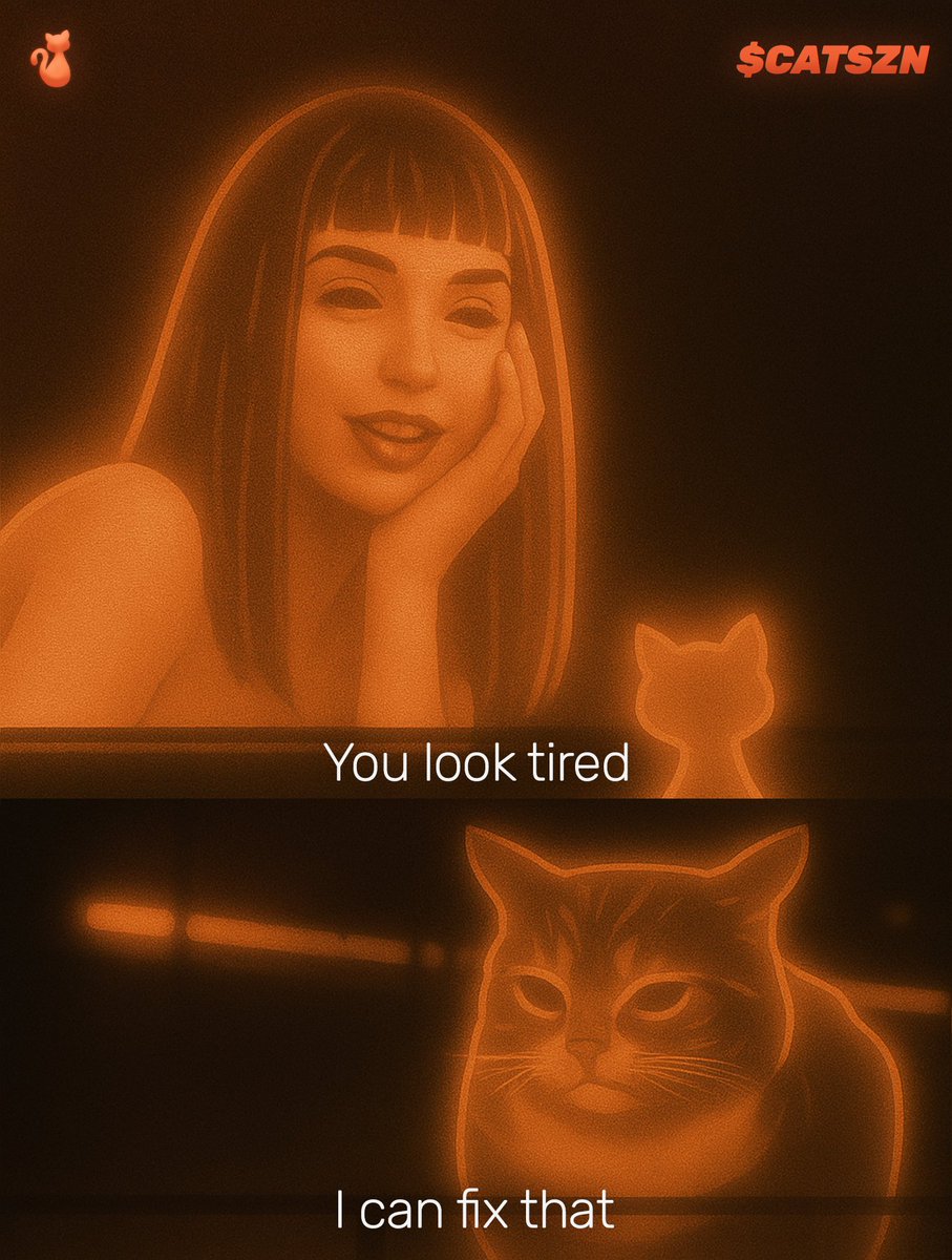 CAT SZN. tweet media