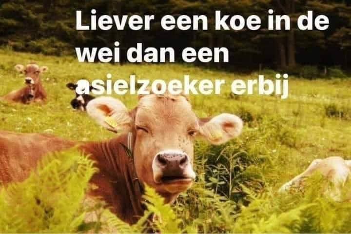 Wim den Oudsten (@wimdenoudsten) on Twitter photo 