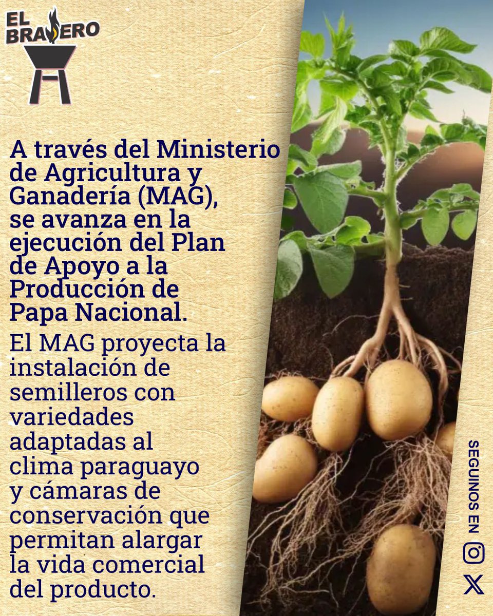 Expansión de la papa