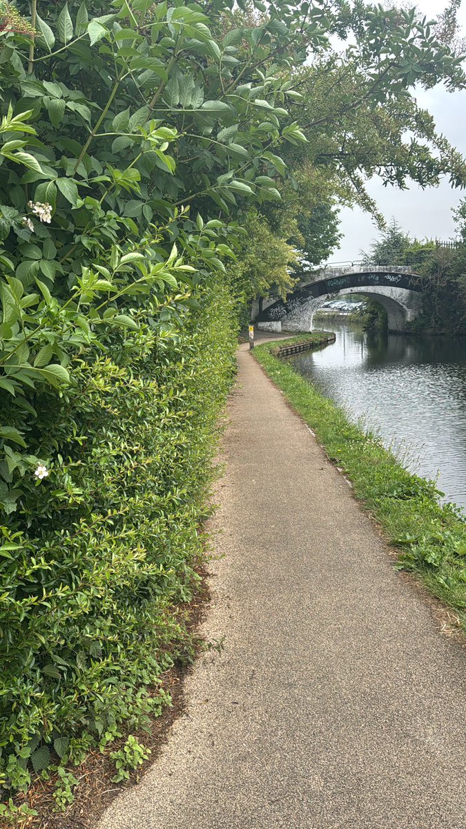 _pitchy's tweet photo. @CanalRiverTrust Do a job badly, do it twice… this needs properly sorting, not just cutting back https://t.co/ZtDlbUpr1X