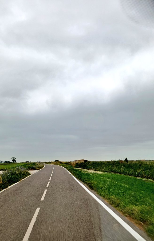 Últim viatge, crec 😅, al <a href="/_IEPAAC/">IEPAAC</a>, al Delta de l'Ebre.

Són moltes les hores per aquí, i l'he vist de tots els colors. El Delta és únic. 

Amb la presentació del treball de síntesi dono per acabats 3 anys de formació com Tècnic Superior en Control i Educació Ambiental.