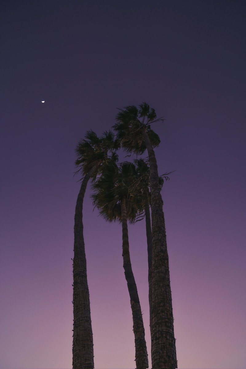 Coldarmy96's tweet image. Palm Springs calling! 👋  Anyone know any secret spots I gotta check out? Thinking desert hikes, chic cafes, and maybe even some vintage shopping. ✨ #PalmSprings #WeekendGetaway #HiddenGems