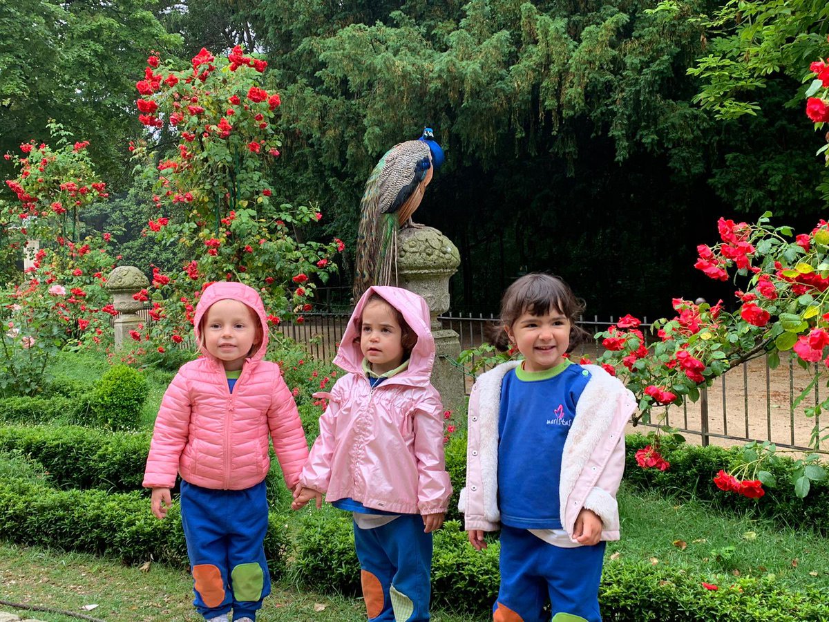 MaristasInmaculadaVa tweet media