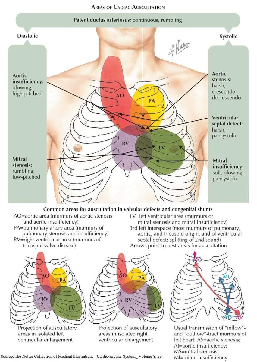 Oren Gottfried, MD tweet media
