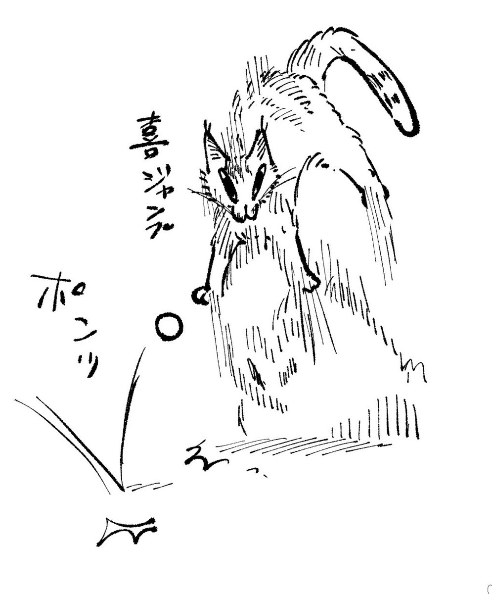 ボールとかおもちゃ投げられるの好きねこ 