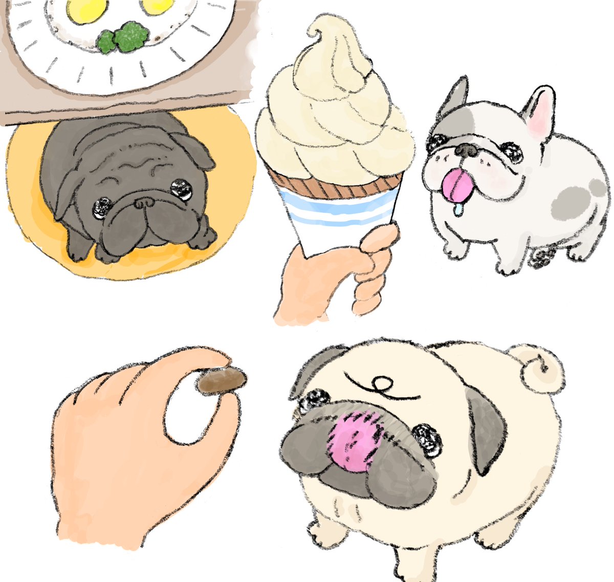 真剣な眼差しペチャ🐽 #パグ #フレンチブルドッグ #黒パグ #食べ物
