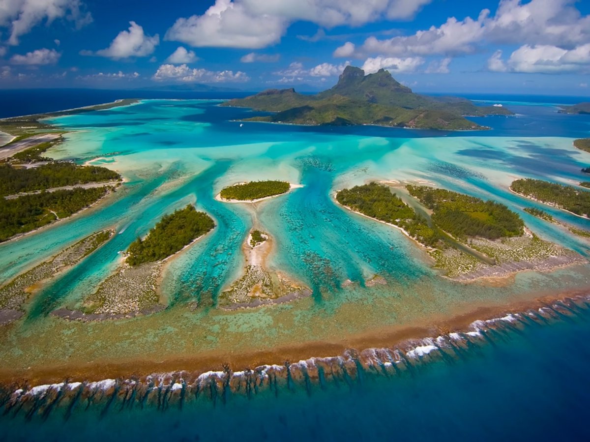 Douglas McCauley (@mccauley_lab) on Twitter photo Amazing. Thank you French Polynesia 🇵🇫 for your leadership: World’s largest marine protected area announced on first day of <a href="/UN/">United Nations</a> Ocean Conference
President Brotherson: “Why do we do it. We do it because we are part of the ocean and the ocean is a part of us.” Amazing. Thank you French Polynesia 🇵🇫 for your leadership: World’s largest marine protected area announced on first day of <a href="/UN/">United Nations</a> Ocean Conference
President Brotherson: “Why do we do it. We do it because we are part of the ocean and the ocean is a part of us.”