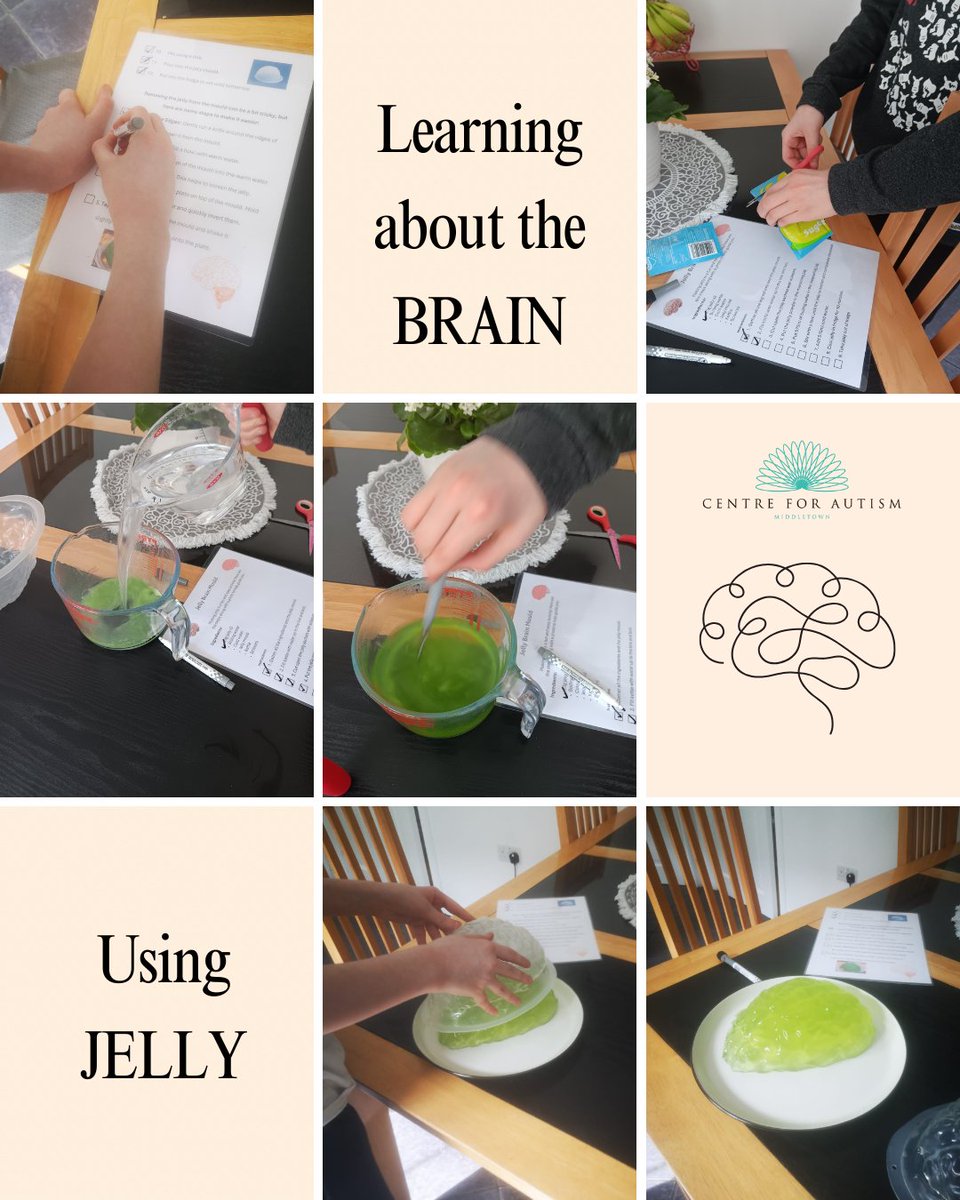 This young person has been working with Middletown staff to learn about the prefrontal cortex, hippocampus and amygdala, and how they impact our whole body’s nervous system as well as the connection to our sensations, thoughts, feelings, and actions!🧠