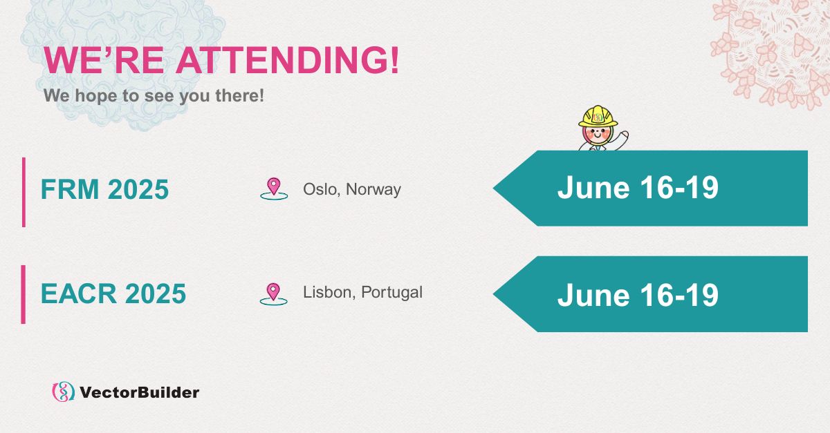 VectorBuilder's tweet image. Countdown to June 16!
VectorBuilder is heading to EACR 2025 in Lisbon &amp;amp; FRM 2025 in Oslo — two major events in cancer research 🧬 &amp;amp; neuroscience 🧠.

Let’s connect, collaborate &amp;amp; innovate. See you there!

#VectorBuilder #EACR2025 #FENS2025 #BiotechInnovation