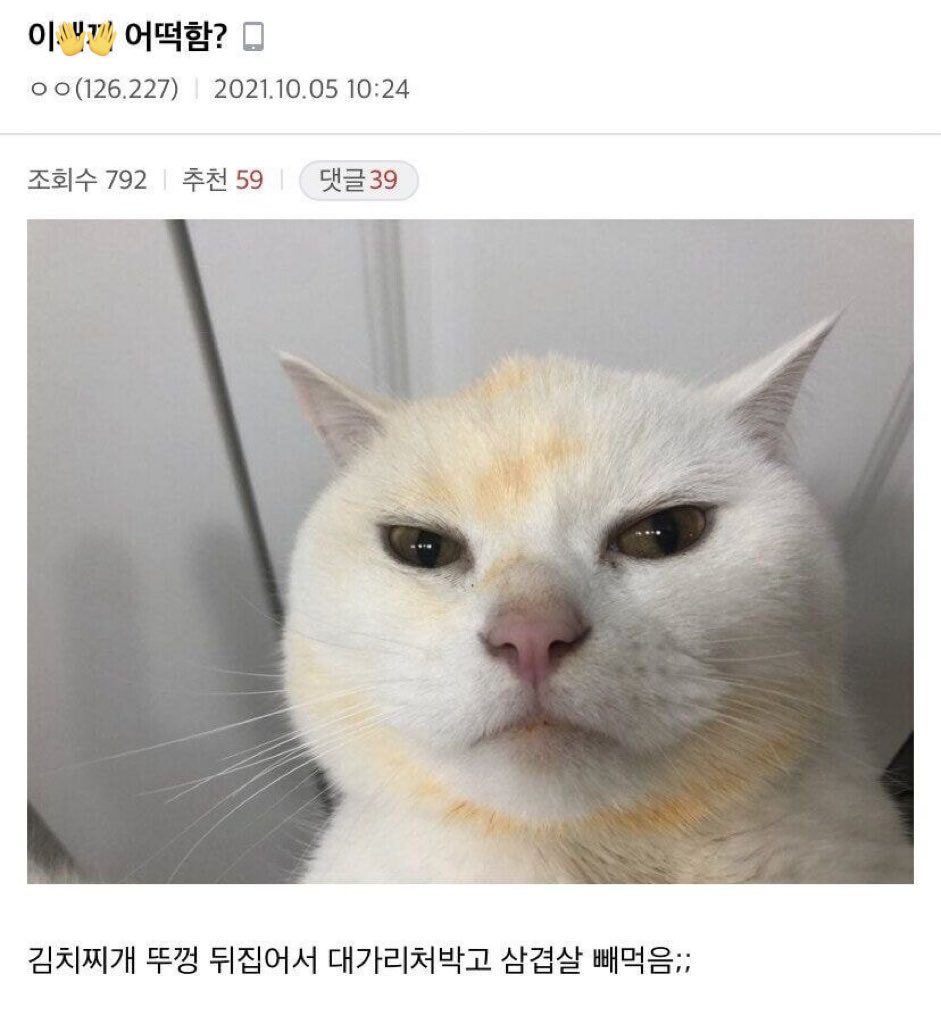 보은 tweet media