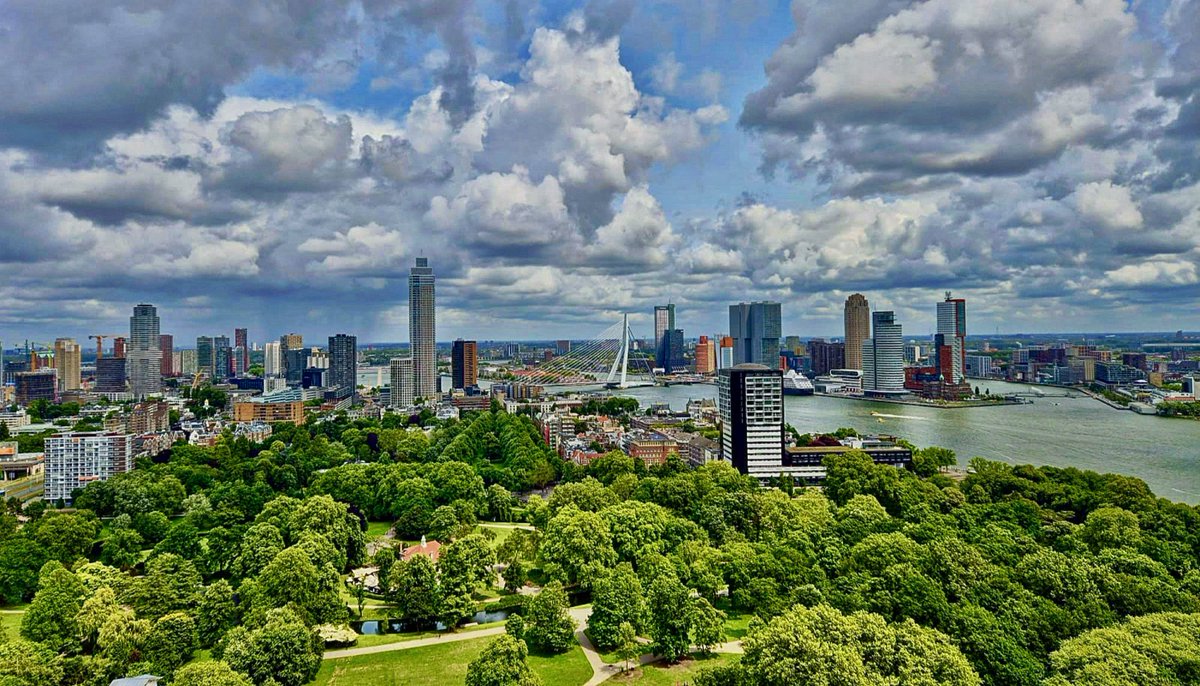 ol2016's tweet image. Daar loop je toch graag naar toe! #rotterdam #roparun @010byday @RTV_Rijnmond