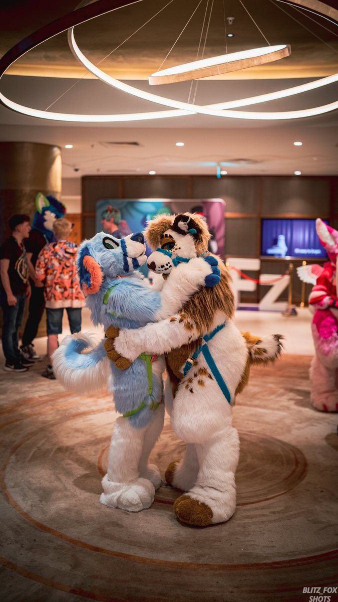 ๐๐คXander๐๐ค (@thatlionthing) on Twitter photo I can't wait to have this cute puppy in my arms again
<a href="/TiredBreezy/">โจ๏ธ Polaris โจ๏ธ</a> ๐
๐ธ<a href="/Blitz__Fox/">๐พBlitzPup๐พ ๐ ANIMALZ ๐CORE ELEMENT</a> I can't wait to have this cute puppy in my arms again
<a href="/TiredBreezy/">โจ๏ธ Polaris โจ๏ธ</a> ๐
๐ธ<a href="/Blitz__Fox/">๐พBlitzPup๐พ ๐ ANIMALZ ๐CORE ELEMENT</a>