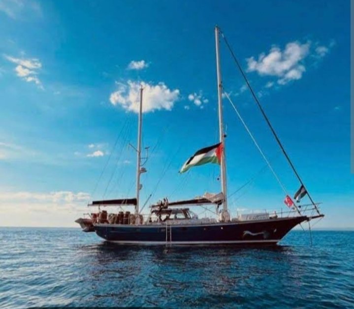 Madleen gemisi insanî yardım dışında bir vicdan gemisi olma özelliğine de sahiptir.Engeller birgün aşılacak Gazze'ye elbette umut ve özgürlük gemisi gidecektir.🇵🇸