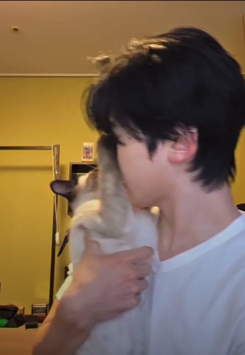 myseokryudan's tweet photo. the thought of matthew being a cat owner just made him 100 times more attractive. https://t.co/PxL7vK4oje