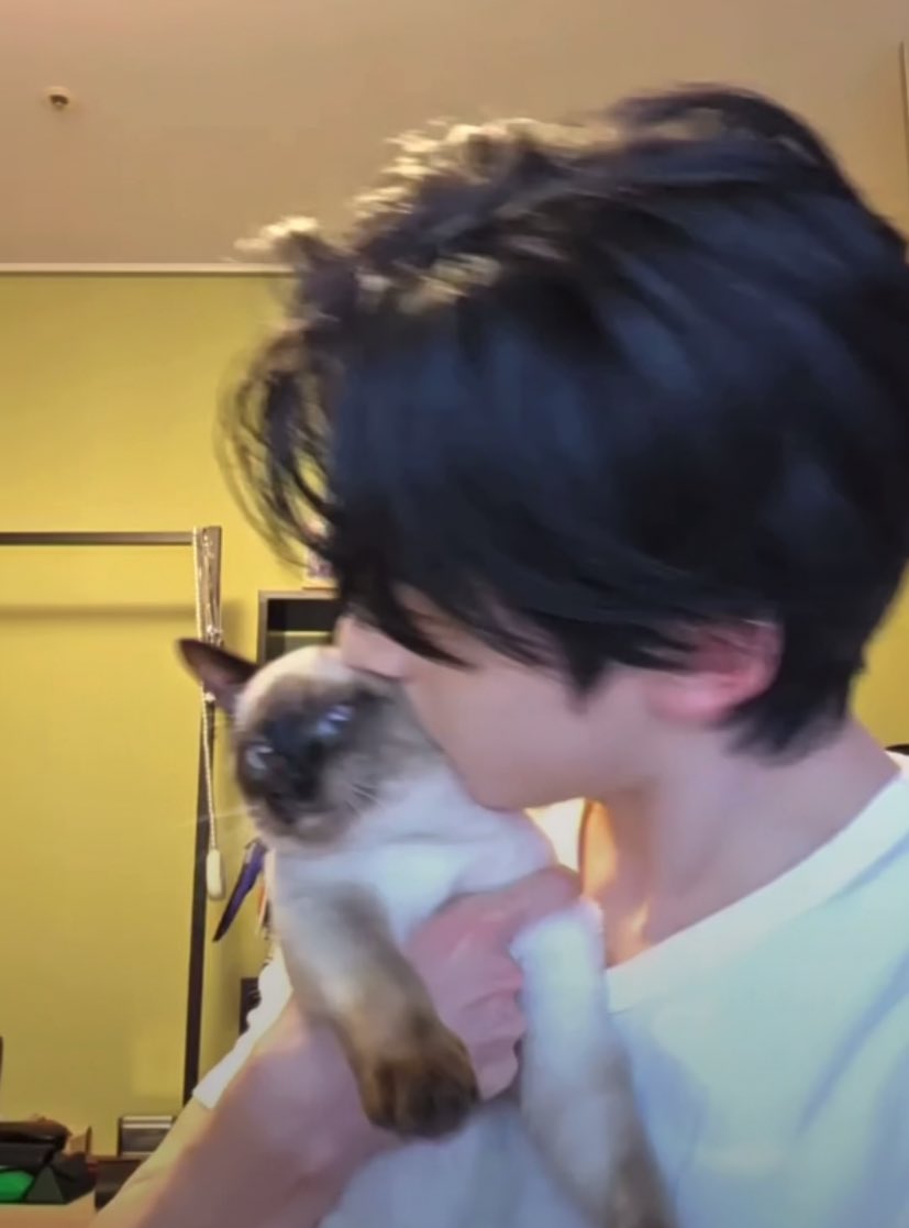 myseokryudan's tweet photo. the thought of matthew being a cat owner just made him 100 times more attractive. https://t.co/PxL7vK4oje