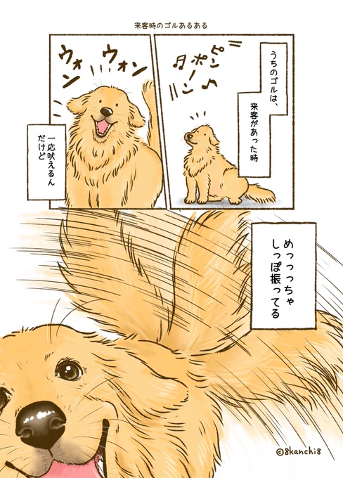ゴルは番犬には向いてないけど、
かわいいからいいのだ。(1/2) 