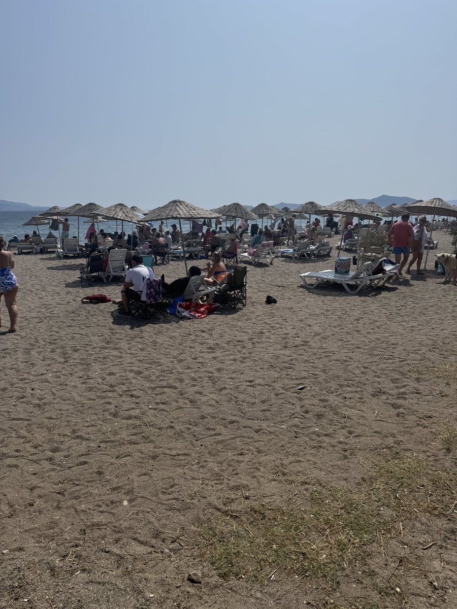 ozgeastro's tweet photo. @BodrumBel @BodrumBel geçen yıl büyük bir şovla halk plajı yaptığınız kumsal bu, güneşin altında oturmak zorunda kalıyoruz. https://t.co/QdcIJvzah5