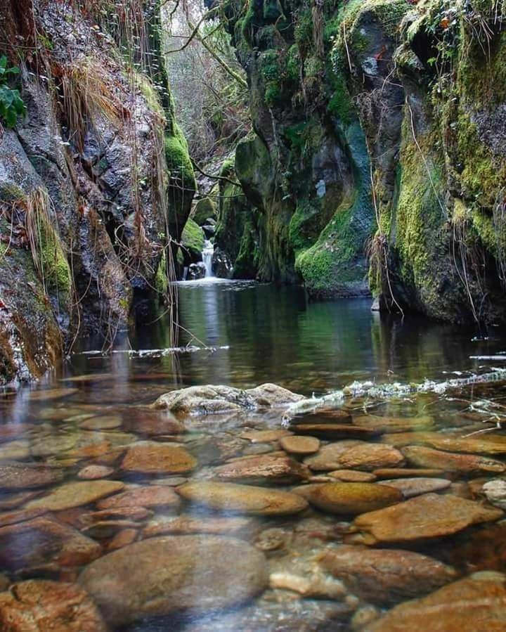 🌴🌴The crystal-clear Grotto Falls, like an emerald nestled in Roaring Fork’s dense forest, sparkles with vibrant allure
Behind the stone grotto, the gentle cascade flows radiating nature’s lively mystique and soothing the soul
durl.ca/hG3V1