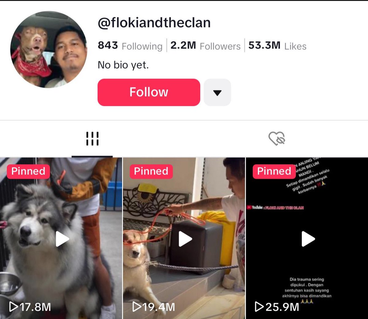 Just found my favorite dog in play, this dawg got 2,2 million followers on tiktok

EFcfCEwKPxNn8qcurpywCHv4QkVzed3eBBJEGLWWpump

$musso