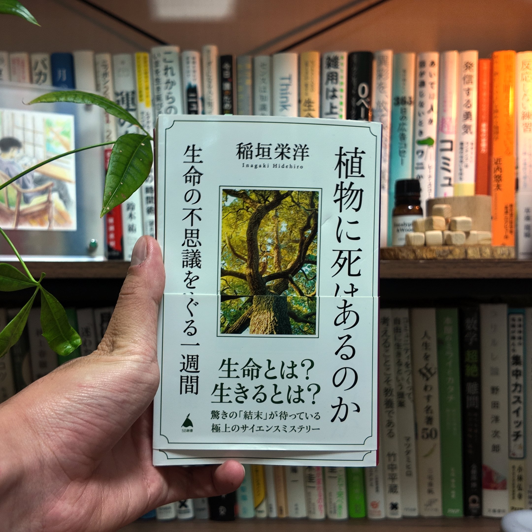 【中古】 コンピュータ基礎論/ＳＢクリエイティブ/河村一樹 中古】 コンピュータ基礎論/SBクリエイティブ/河村一樹 中古