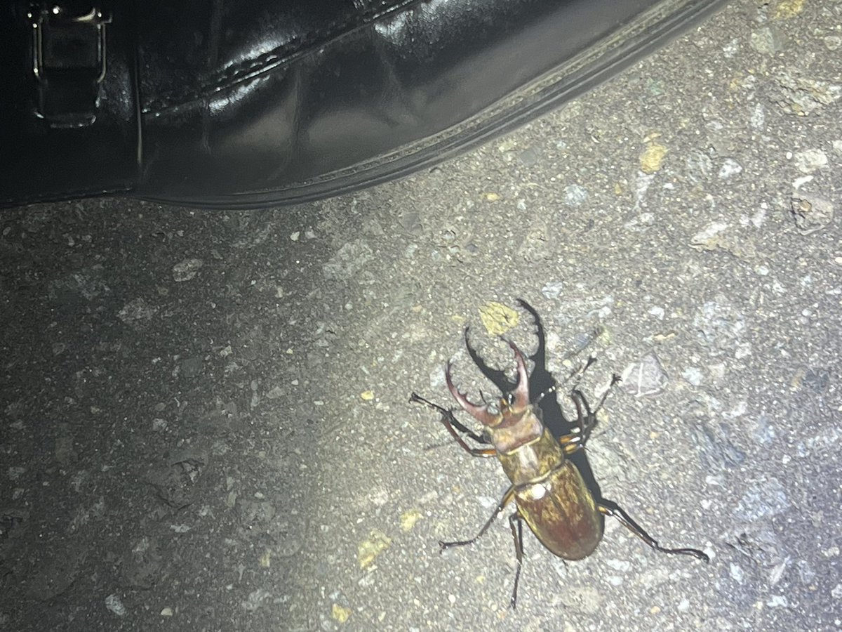 わ〜い。採れた〜！
2025年6月9日（月）21:30