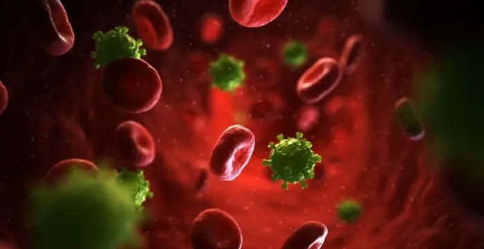 Terminar con la latencia del #VIH. La investigación liderada por el Dr. Valiente utilizará quimioterapéuticos para “despertar” los reservorios virales y así tratarlos con terapia antirretroviral, bajo la modalidad “shock and kill” #Fondecyt2025

uchile.cl/bm228833