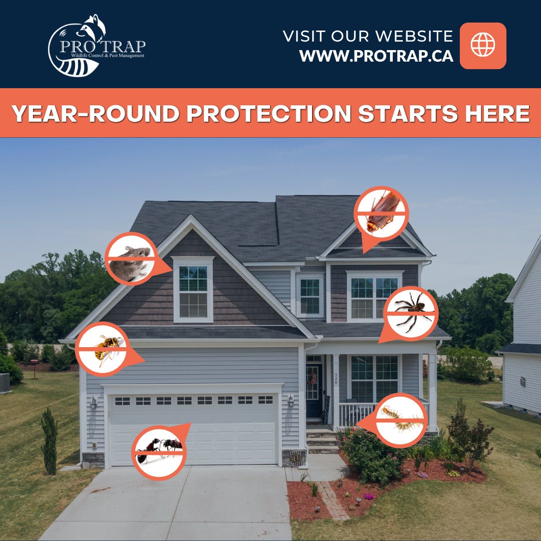 Year-round peace of mind starts here. Our Home Protection Plan keeps pests &amp; rodents at bay.

Learn more: protrap.ca/home-protectio…