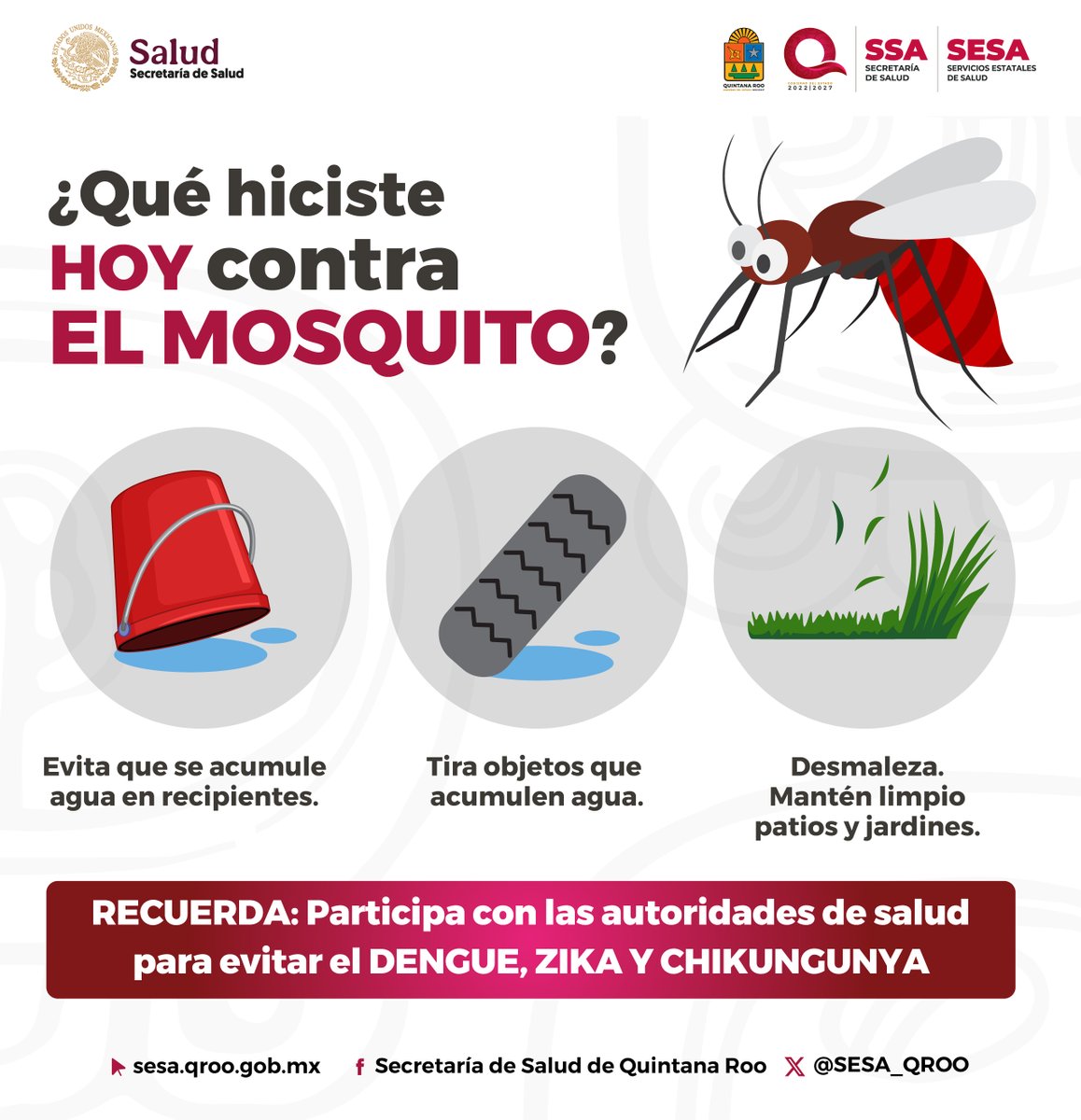 El dengue es una amenaza seria para la salud. 

Protégete, elimina criaderos de mosquitos y vive libre de esta enfermedad. #DenguePrevención Secretaría de Salud Quintana Roo
