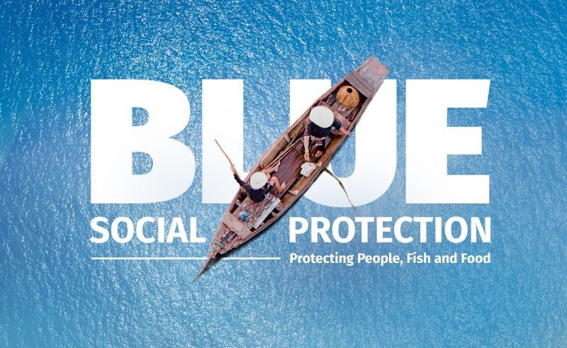 Addressing the global decline in fish stocks has significant implications for fishery workers, their communities, &amp; wider society. Social protection can play a role in protecting people against shocks and promote better job opportunities. Learn more here:  wrld.bg/6a3k50W6fap