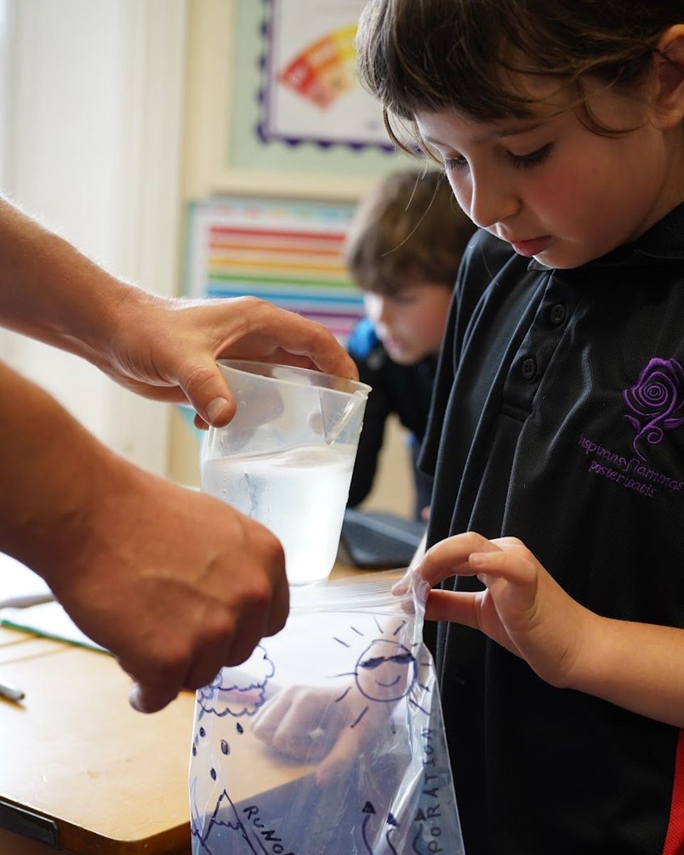 Our Year 5 exploration of the rainforest environment continues! This week, we became hydrologists, investigating the water cycle by creating our own ""model in a bag."