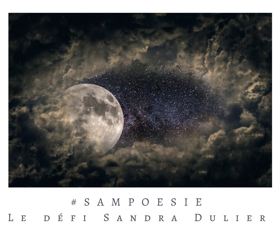 SandraDulier's tweet photo. 👥#Sampoésie Lune mystère. Participation uniquement sur le blog : https://t.co/qxaWH8FLqK https://t.co/GxR64S70cS