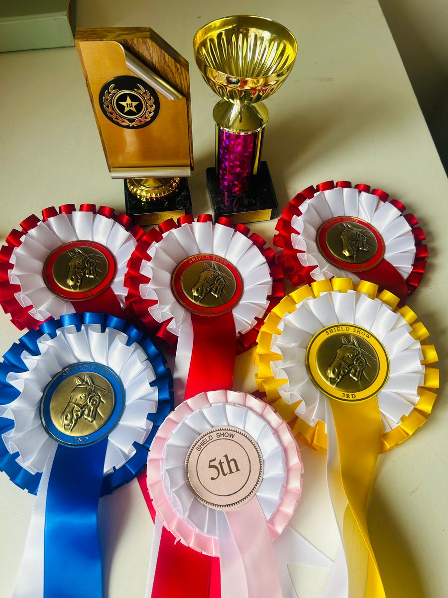 Congratulations to Erin in Year 7, who competed in a local horse show over the weekend. She impressively won trophies and 8 rosettes across various categories, placing from first to fifth. Fantastic achievement - well done, Erin! #horseshow #achievement #welldone