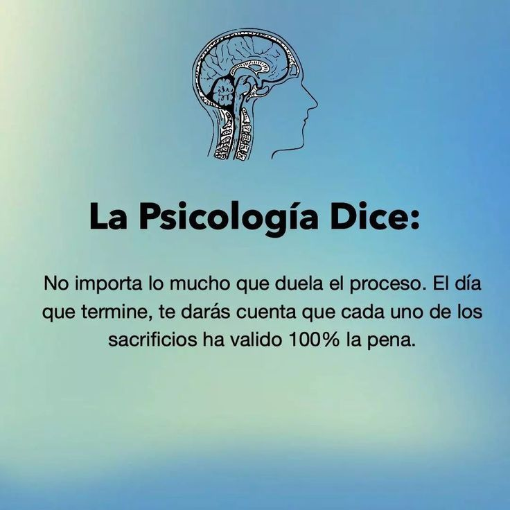 Tiger Mindset (@honordetigre) on Twitter photo 