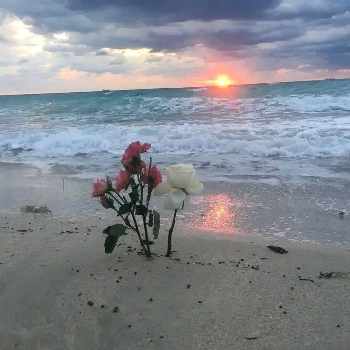 سلاما على دنيا.أصبحت تحكمها المظاهر
وسلاما على عالم.باتت تحكمه الأوهام
سلاما على زمن.أصبحت فيه القيم مجردشعارات، 
وسلاما على حياة.غدت فيها الحقيقة مغيبة. 
سلاما على أيام.صارفيهاالصدق نادرا، 
وسلاما على قلوبٍ.أضحت تتبع المظاهر دون جوهر. 
سلامًا على أرواح.فقدتبريقهافي زحمة الحياة❤️‍🩹