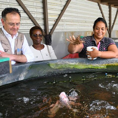 FAOfish's tweet photo. In Barbados, fish waste is transformed into high-value animal feed &amp; fertilizer. 

🔹 Cutting landfill use
🔹 Boosting local farming
🔹 Powering a circular economy.

♻️  Innovation + sustainability in action.

Discover how 👉 https://t.co/as6EQcu8Ga 

#UNOC3 #BlueTransformation https://t.co/R5dJfgzZut