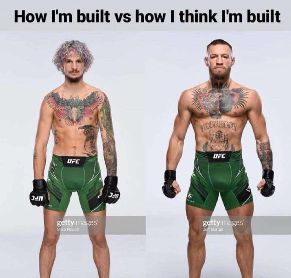 MrTestoestrogen (@mrtestoestrogen) on Twitter photo 