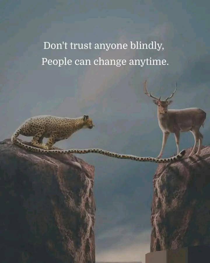 MyDad_think's tweet photo. https://t.co/GgmME2Du4F