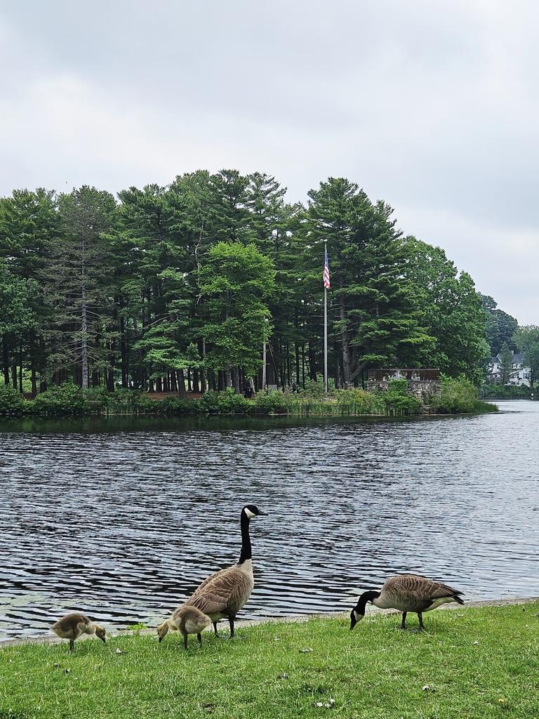 Good morning! Cloudy start at Island Grove Abington!  <a href="/CatherineNews/">Catherine Parrotta</a> <a href="/VickiGrafWX/">Vicki Graf</a>