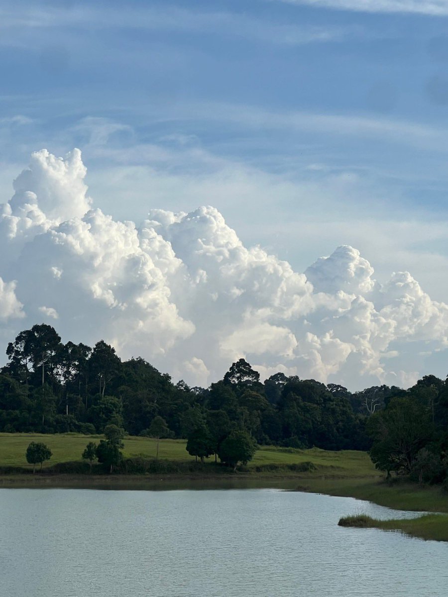 Earth Pirapat 🌏 tweet media