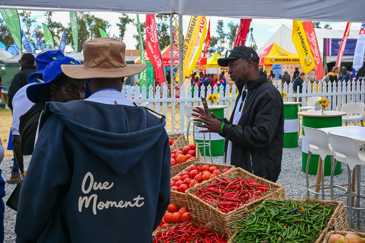 SeedCoVegZim's tweet image. ADMA Agric Show Highlights

Seed Co Vegetables would like to express our sincere appreciation to all stakeholders who engaged with us at our stand, sharing enthusiastic discussions and testimonials about our varieties. We value your continued support.

#seedcovegzim