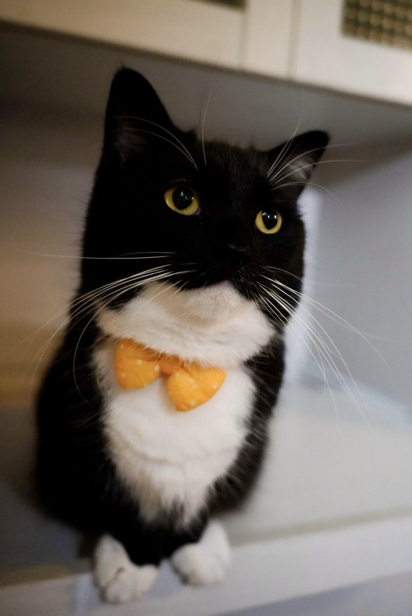 He's filled with determination